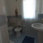 Vannuzza *