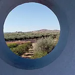Vannuzza * Noto