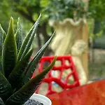 Hébergement de vacances Vannuzza