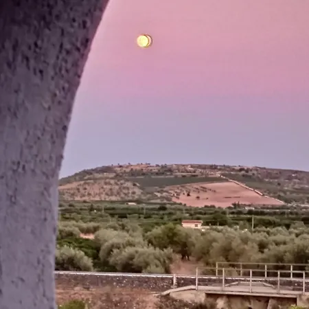 Vannuzza * Noto
